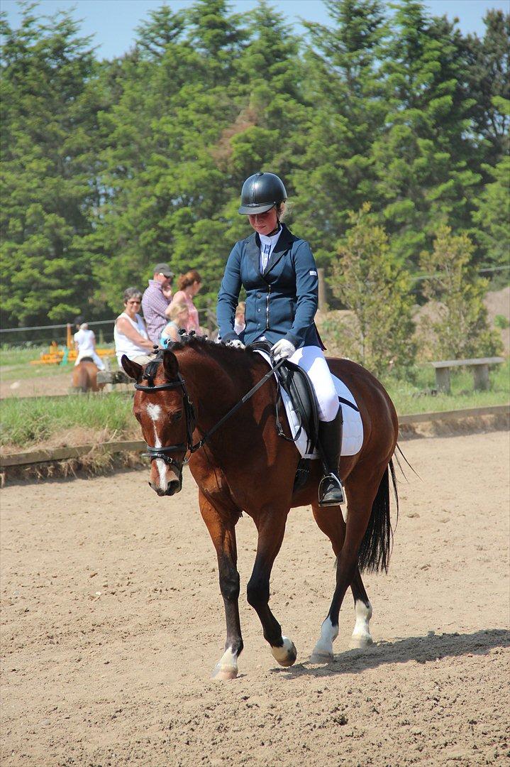 Anden særlig race Stormarksgaards Speedy - Puha, det var lidt hårdt(: billede 14