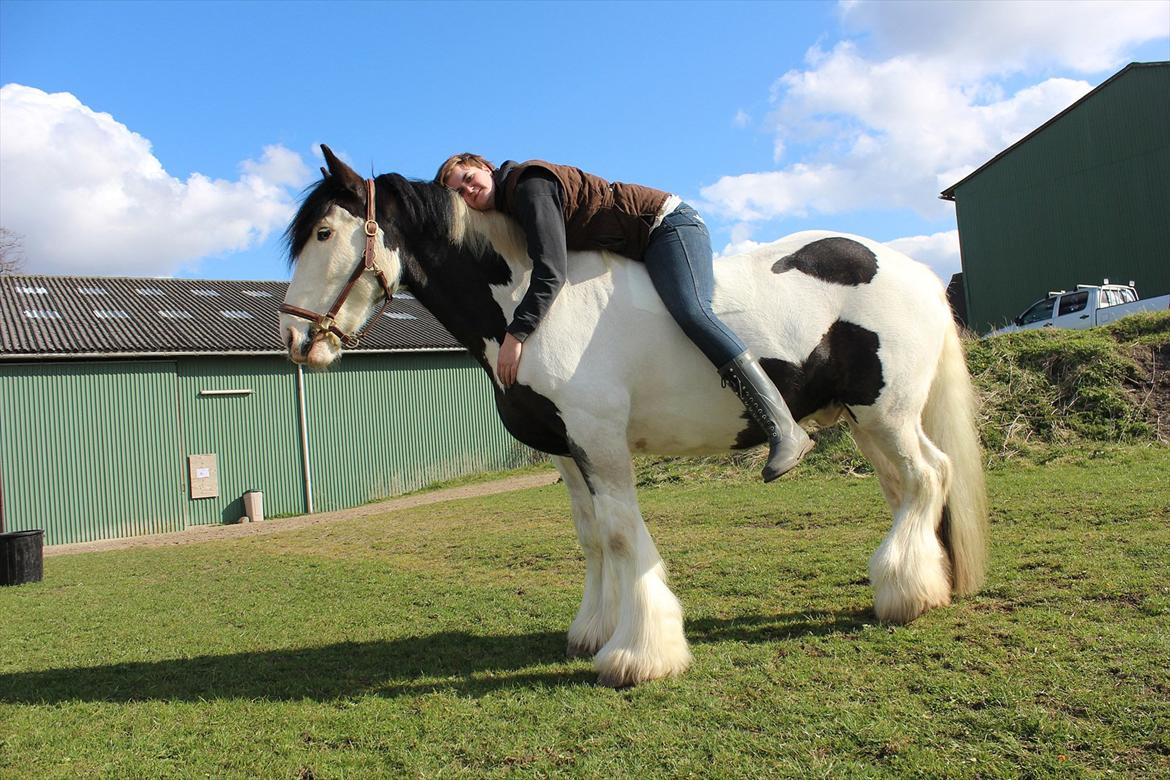 Tinker *Sofus* - Min ENER! Jeg mangler dig hver evig eneste dag.. billede 15