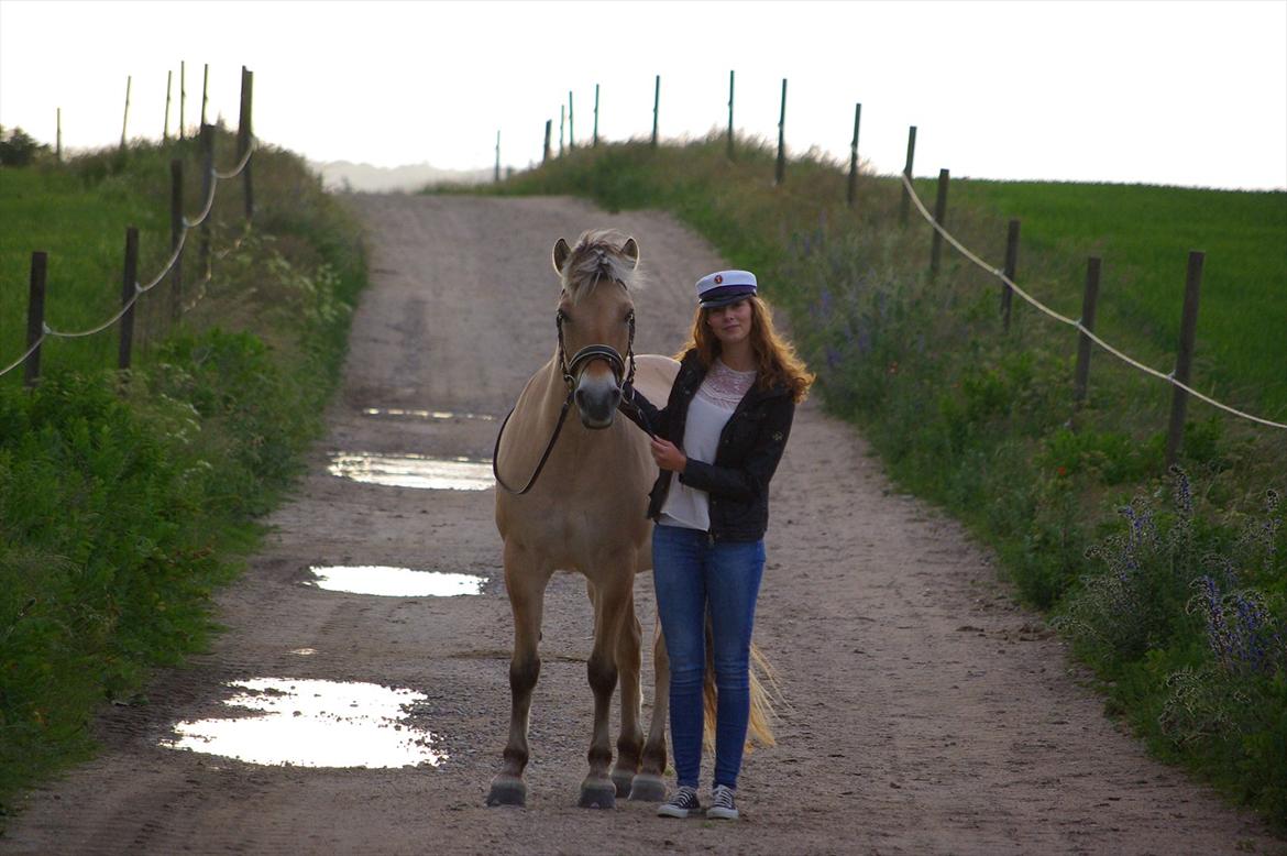 Fjordhest Ingegård's Tanna - Putten og Jeg, den dag hvor jeg blev student. d. 13/6 2012. BILLEDET MÅ IKKE KOPIERES OG BRUGES PÅ ANDRE NET SIDER.  billede 15