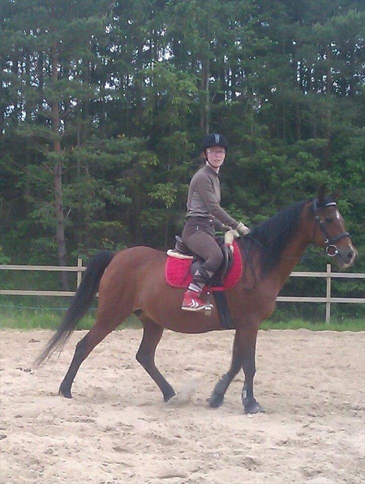 Anden særlig race lady billede 18