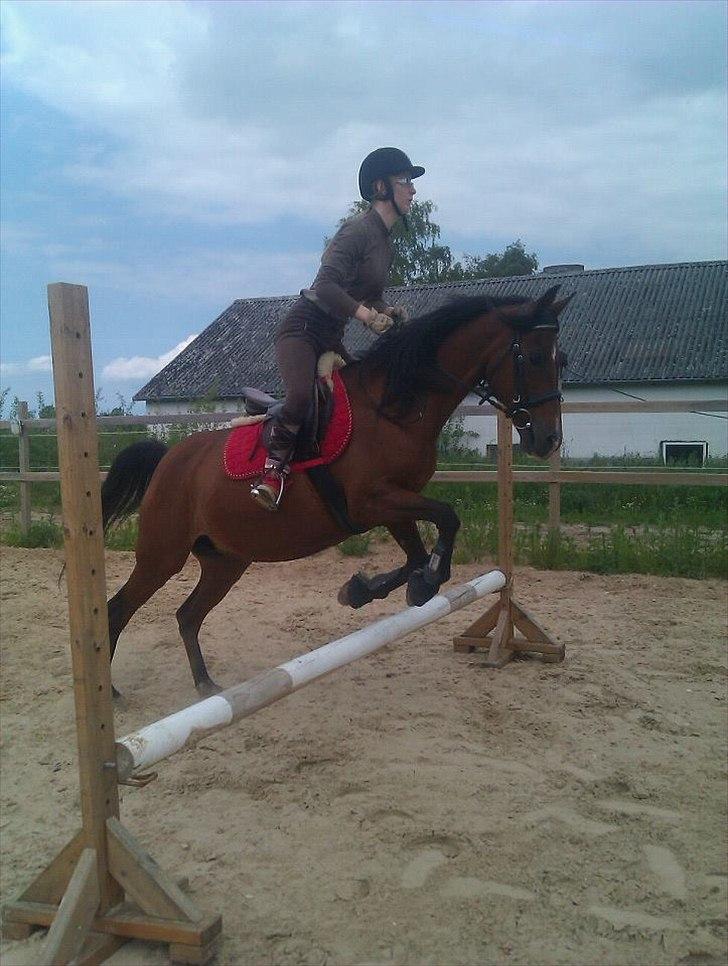 Anden særlig race lady billede 19