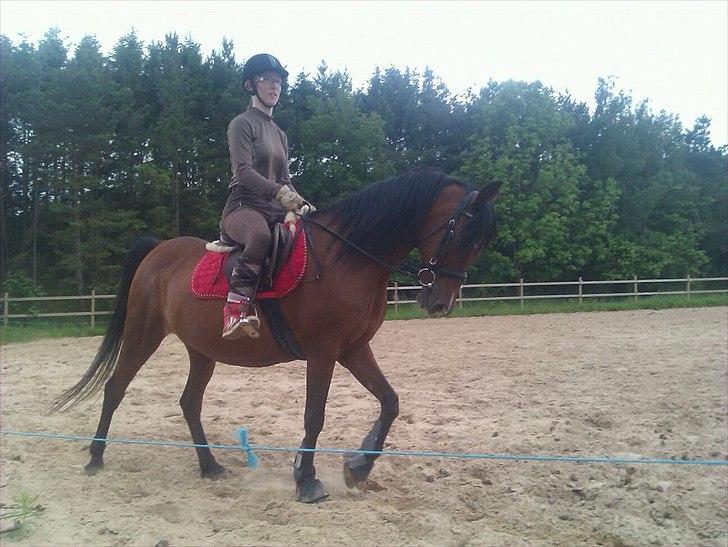 Anden særlig race lady billede 20