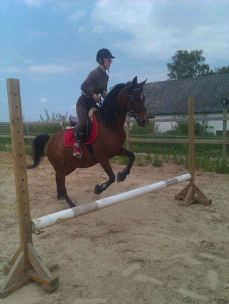 Anden særlig race lady billede 1