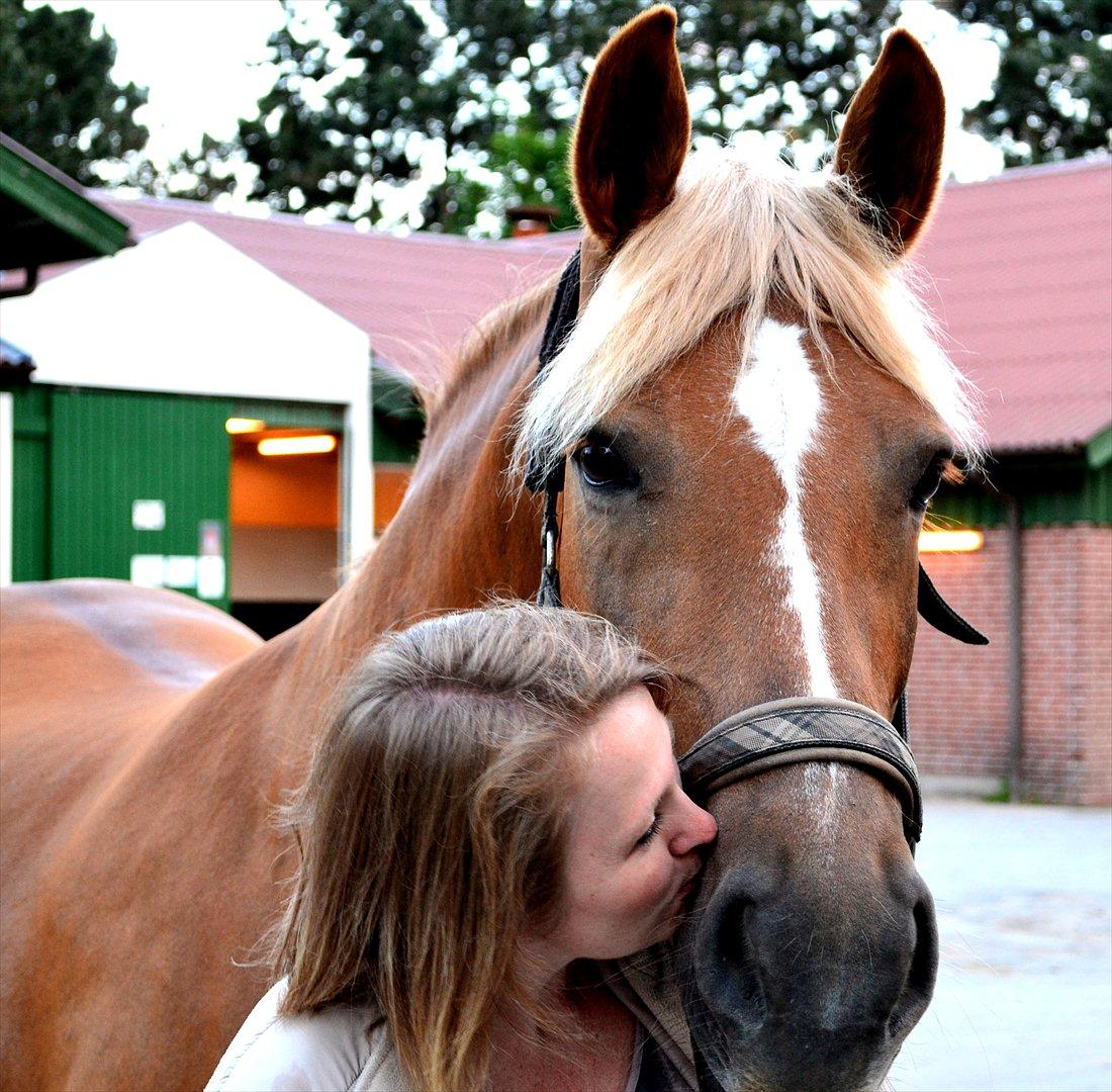 Anden særlig race Liane 154 * *Himmelhest** - *NYT* 
Liane & min mor(:  billede 16
