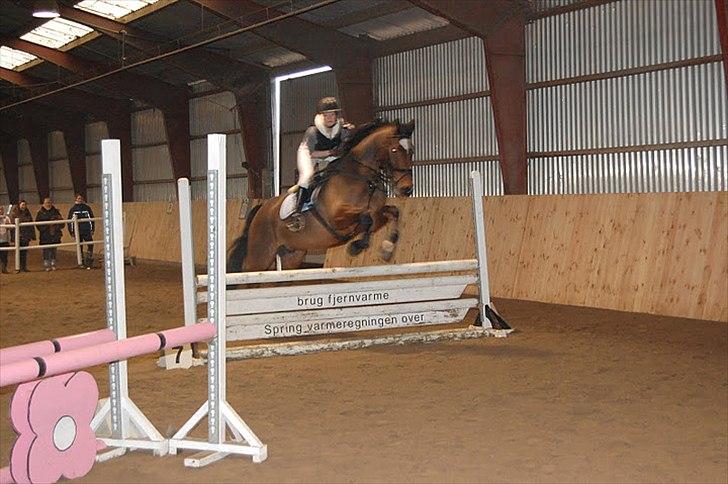 Anden særlig race T-Rex billede 3