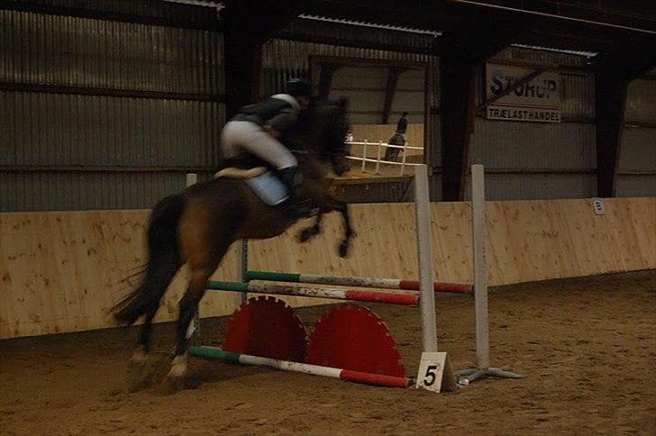 Anden særlig race T-Rex billede 4