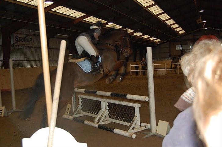 Anden særlig race T-Rex billede 5