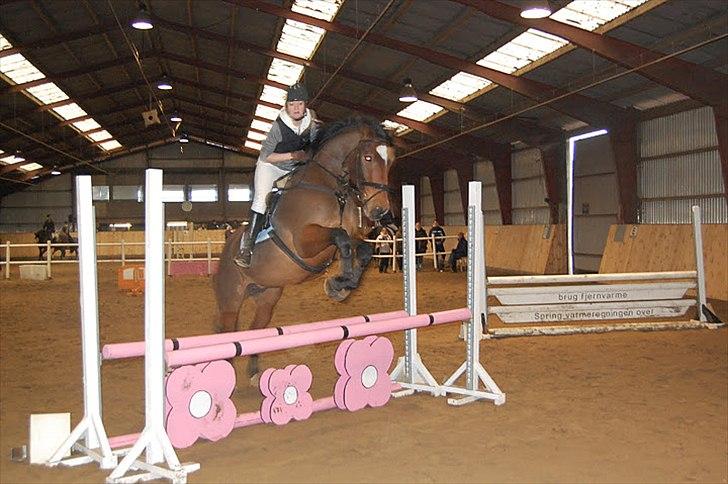 Anden særlig race T-Rex billede 6