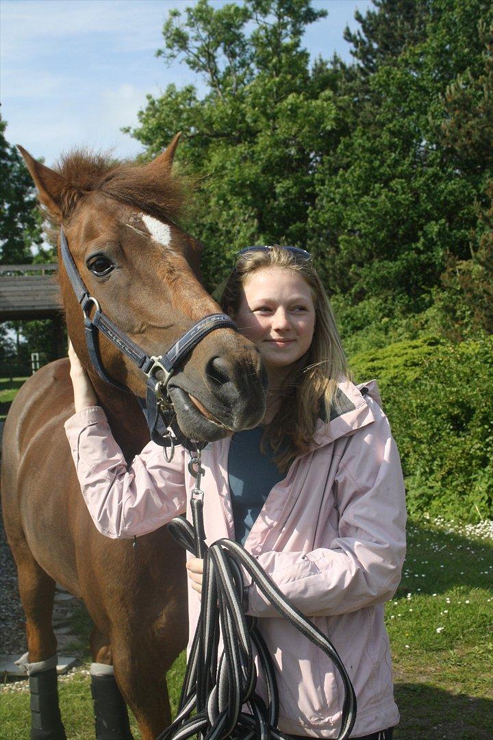 New Forest Berktzicht Ronald *Bruce* R.I.P. <3 - 12. Oppe og hente ham inden aflivningen... savner dig basse<3 // 12/06-12 // AME-foto <3 billede 12