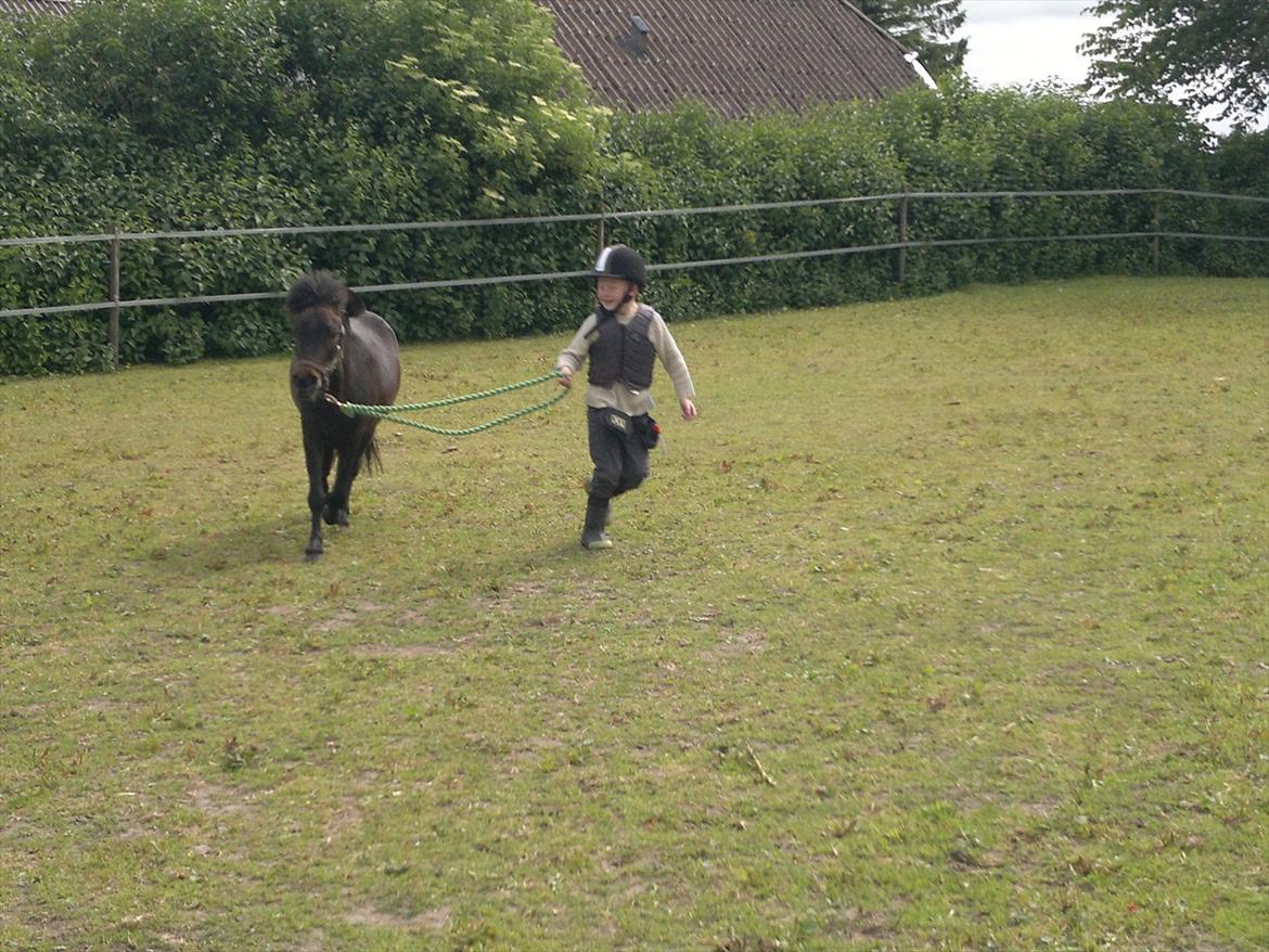 Anden særlig race Frøken Smilla - d.14/6-12 billede 18