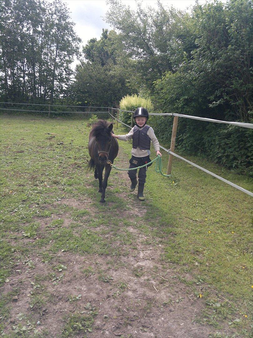 Anden særlig race Frøken Smilla - Oliver syntes lige at ham og Smilla skulle løbe træne i dag :-)
d.14/6-12 billede 6