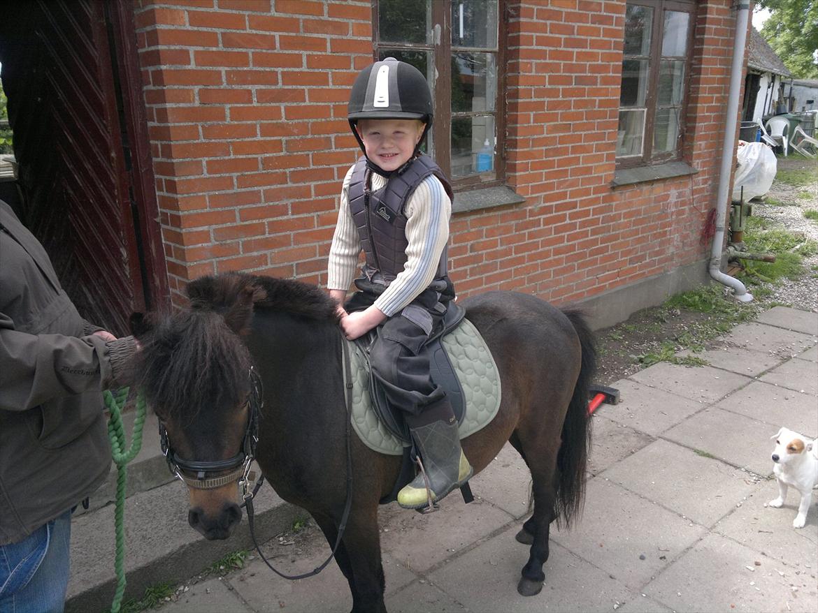 Anden særlig race Frøken Smilla - d.13/6-12 billede 4