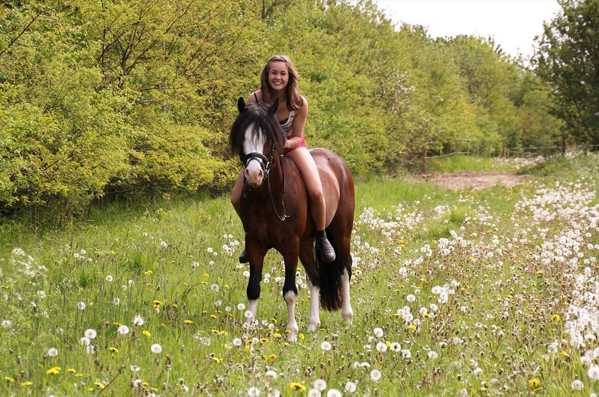 Welsh Pony af Cob-type (sec C) Thers Mickey Mouse - Friends we are
friends we'll be
friends forever you and me ♥
-Foto: Fredrikke Kjær <3 billede 18