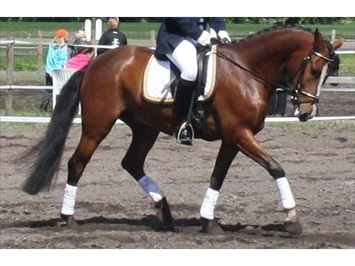 {{currentPhoto.altText}} billede {{currentPhoto.number}}