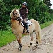 Anden særlig race Miss Jade