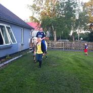 Fjordhest Geske Gudenå (Part)