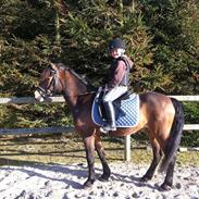 Anden særlig race Fister