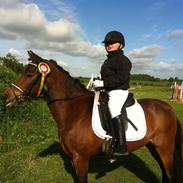 Anden særlig race Fister