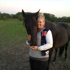 Knabstrupper Bendorff's Bella