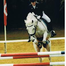 Anden særlig race Micky | Min ponymus <3