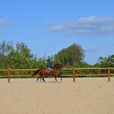 Anden særlig race Tarzan