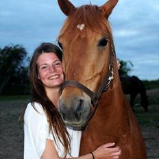 Tysk Sportspony Bacardi