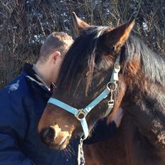 Anden særlig race Øland's Victory of patience
