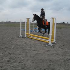 Anden særlig race Chelsey <3