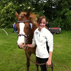 Islænder Pistill fra kirkjubæ | My soul mate<3 | 