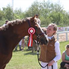 Anden særlig race Nørregårdens My Lady