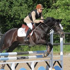 New Forest Adam af wrångebäck