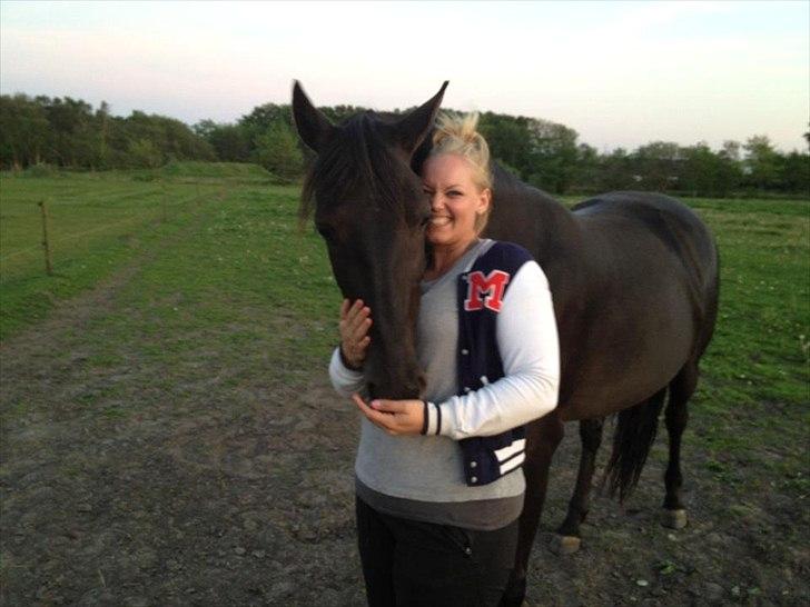 Knabstrupper Bendorff's Bella billede 1