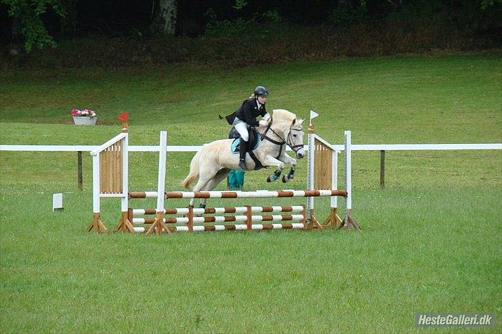 Anden særlig race Micky | Min ponymus <3 billede 18