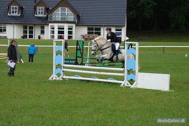 Anden særlig race Micky | Min ponymus <3 billede 4