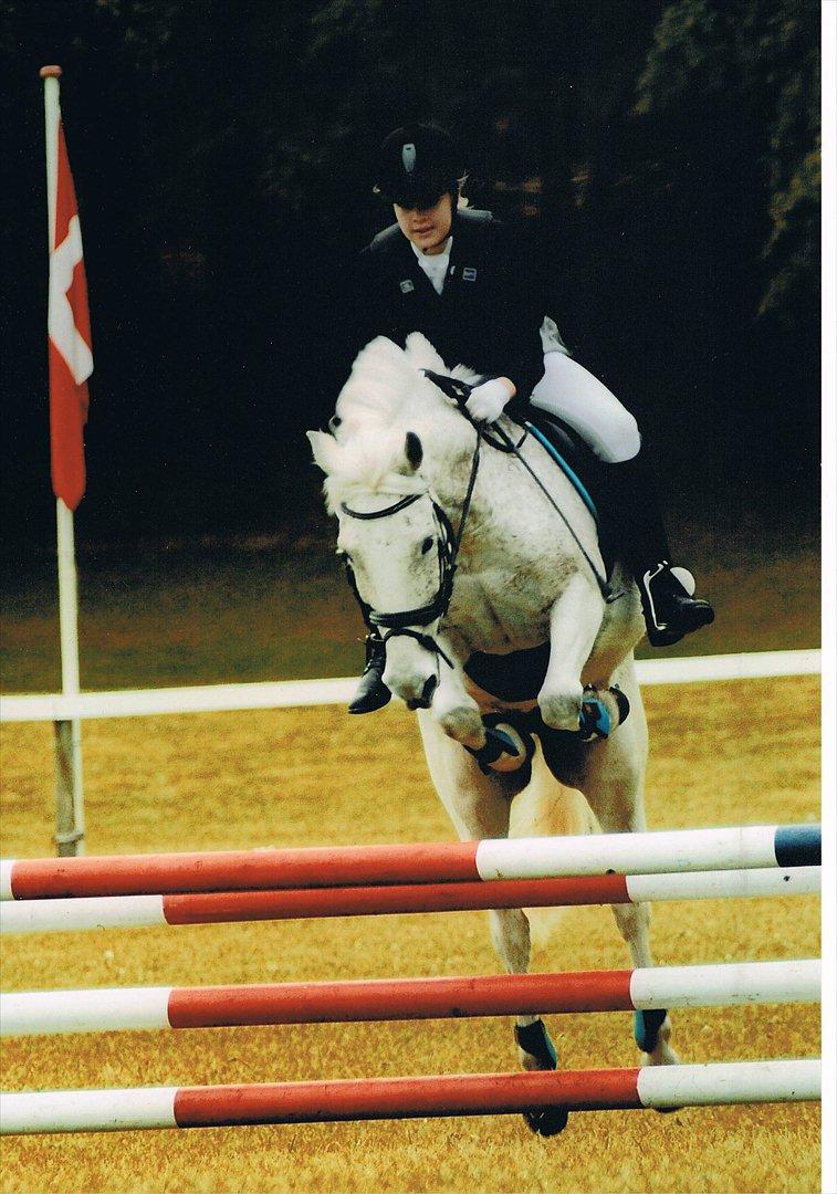 Anden særlig race Micky | Min ponymus <3 billede 1