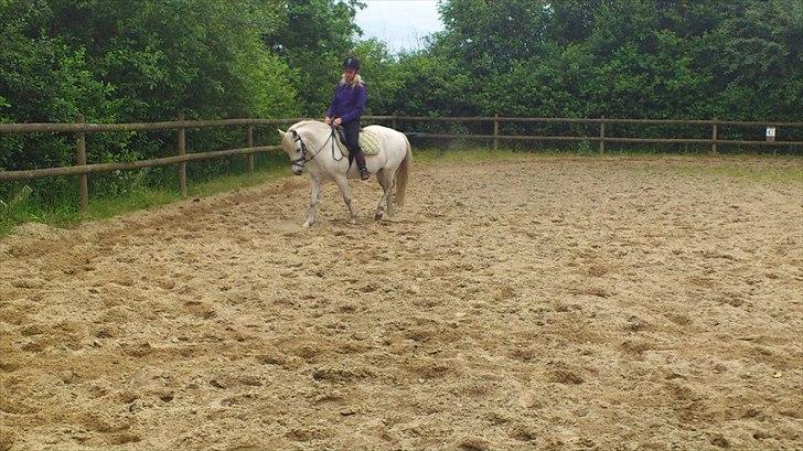 Anden særlig race Mille - Dressur d. 14/6-2012 billede 15