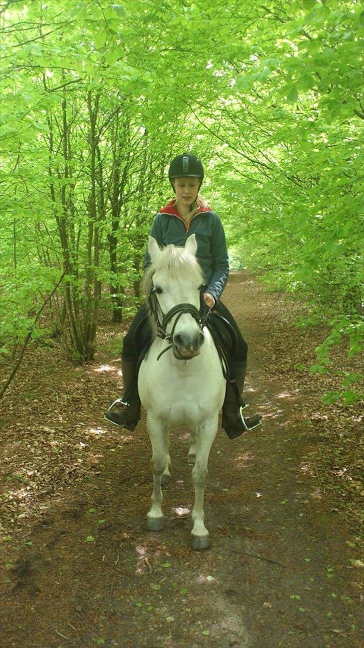 Anden særlig race Mille - Skovtur <3 billede 17