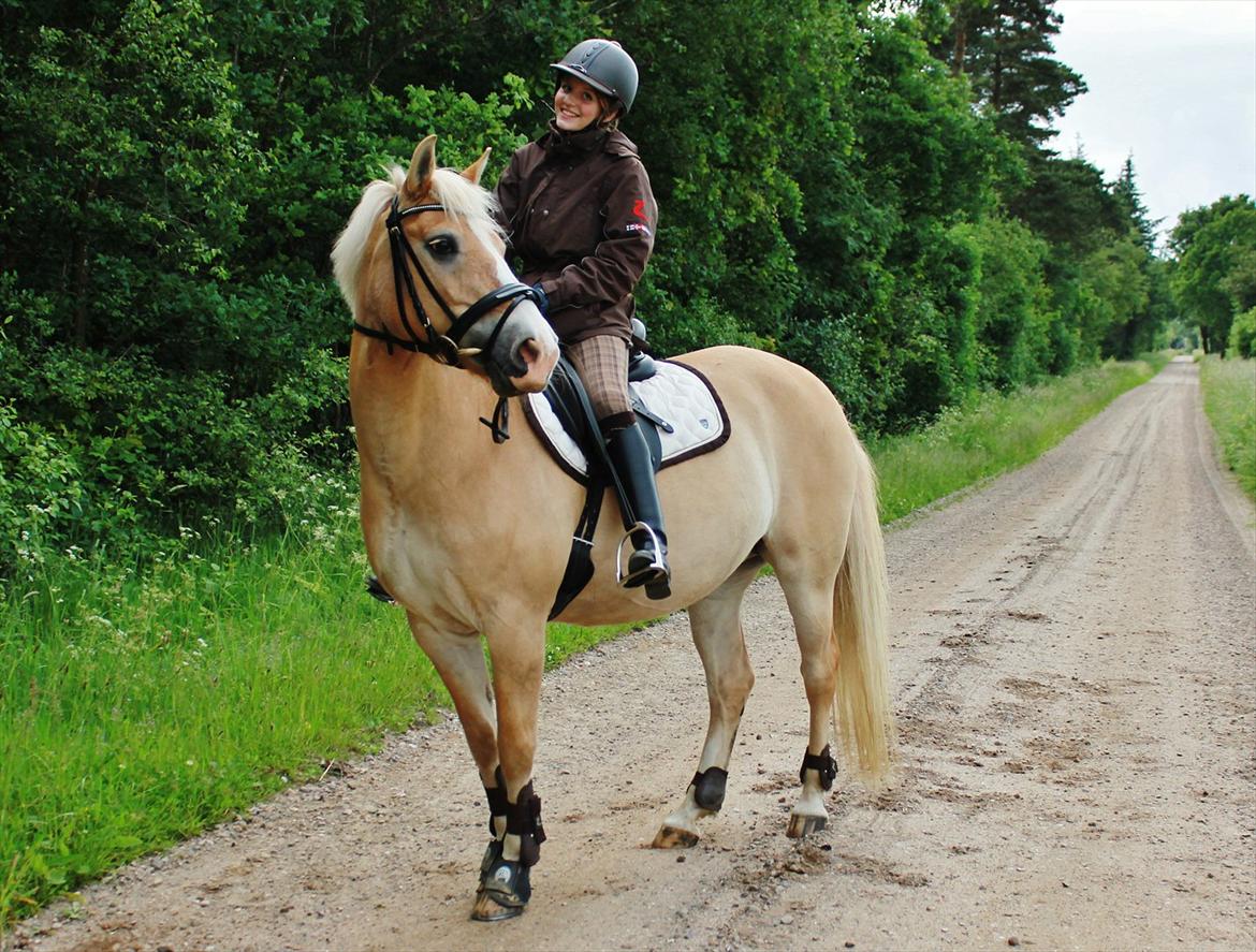 Anden særlig race Miss Jade billede 4