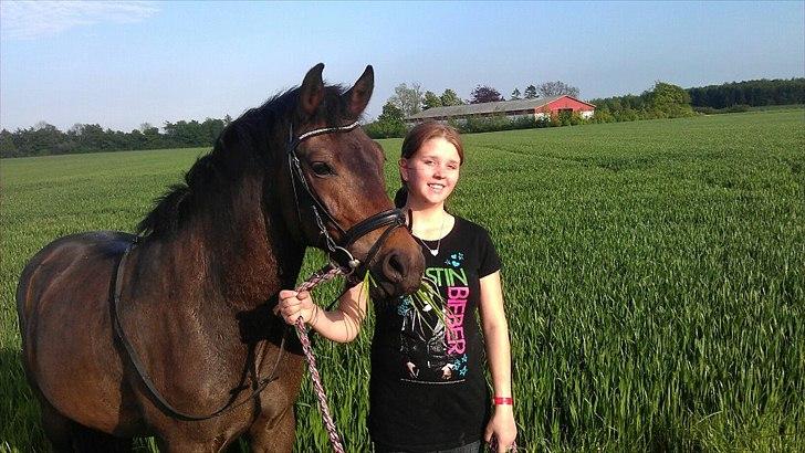 New Forest Romeo's Harlye<3  billede 10