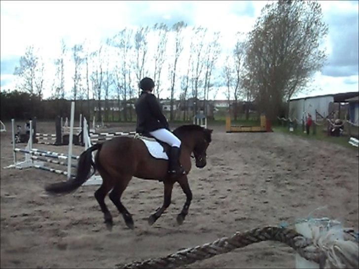 Anden særlig race Flika - <3 billede 16