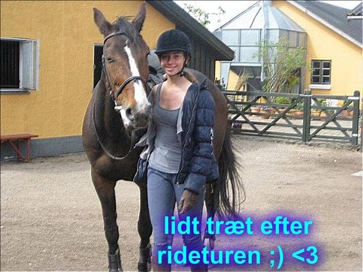 Traver Fit for fight<3 - min første ridetur som part på den skønne <3 <3  billede 6