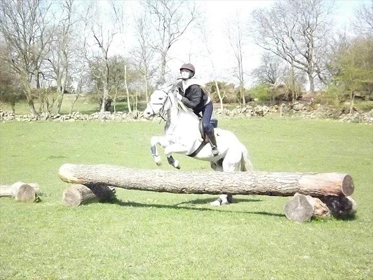 Anden særlig race Müseli<3 ( bornholms og klub mester ) - Elsker dig:*  billede 10