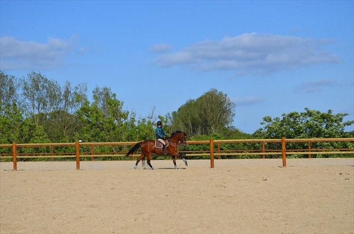 Anden særlig race Tarzan billede 2