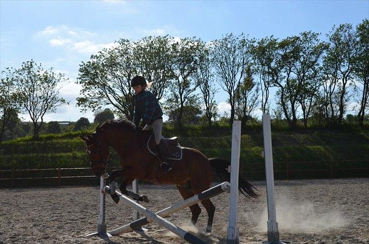 Anden særlig race Tarzan billede 3