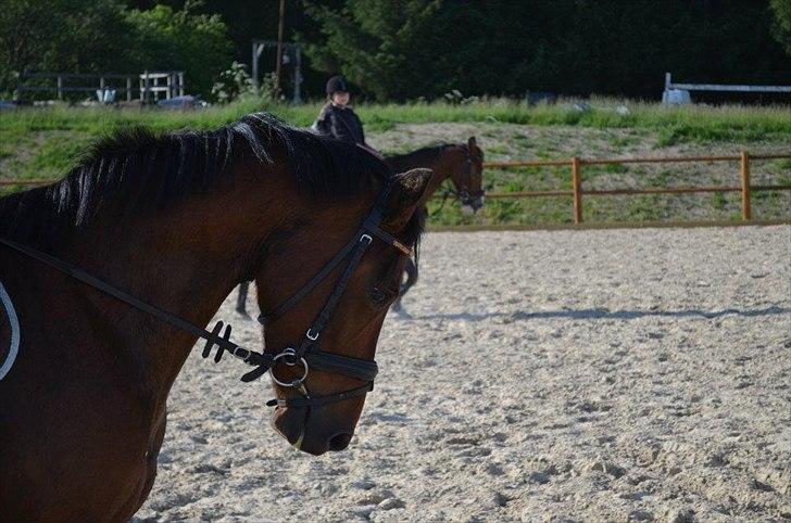 Anden særlig race Tarzan billede 1