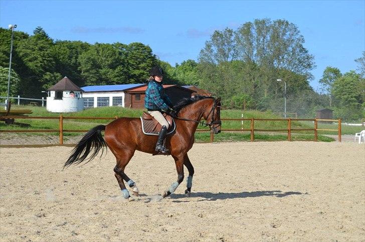 Anden særlig race Tarzan billede 4