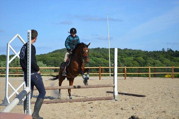 Anden særlig race Tarzan billede 5
