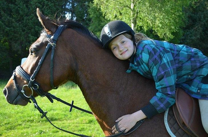 Anden særlig race Tarzan billede 6