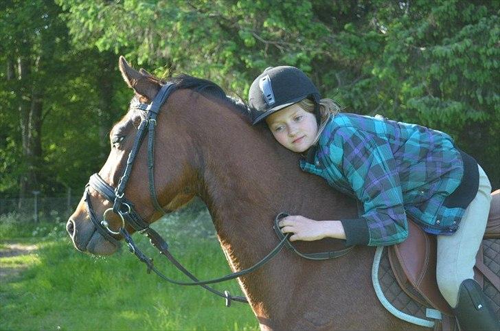 Anden særlig race Tarzan billede 7