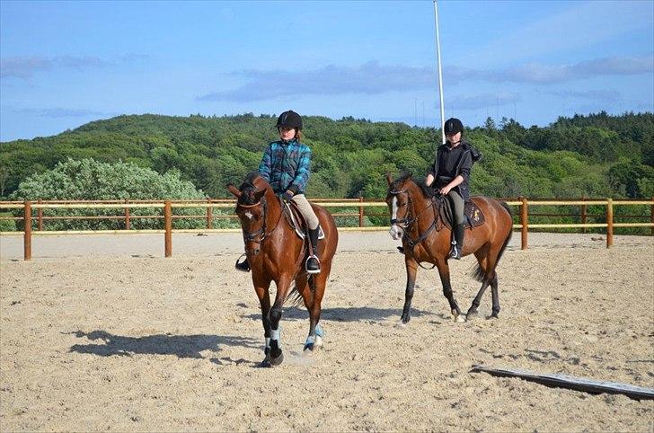 Anden særlig race Tarzan billede 8